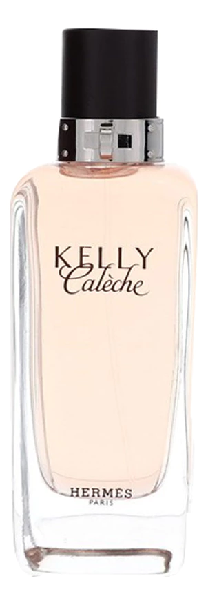 Hermes Kelly Caleche