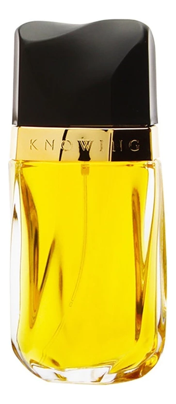 Estee Lauder Knowing