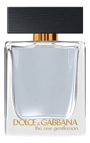 Dolce & Gabbana The One Gentleman