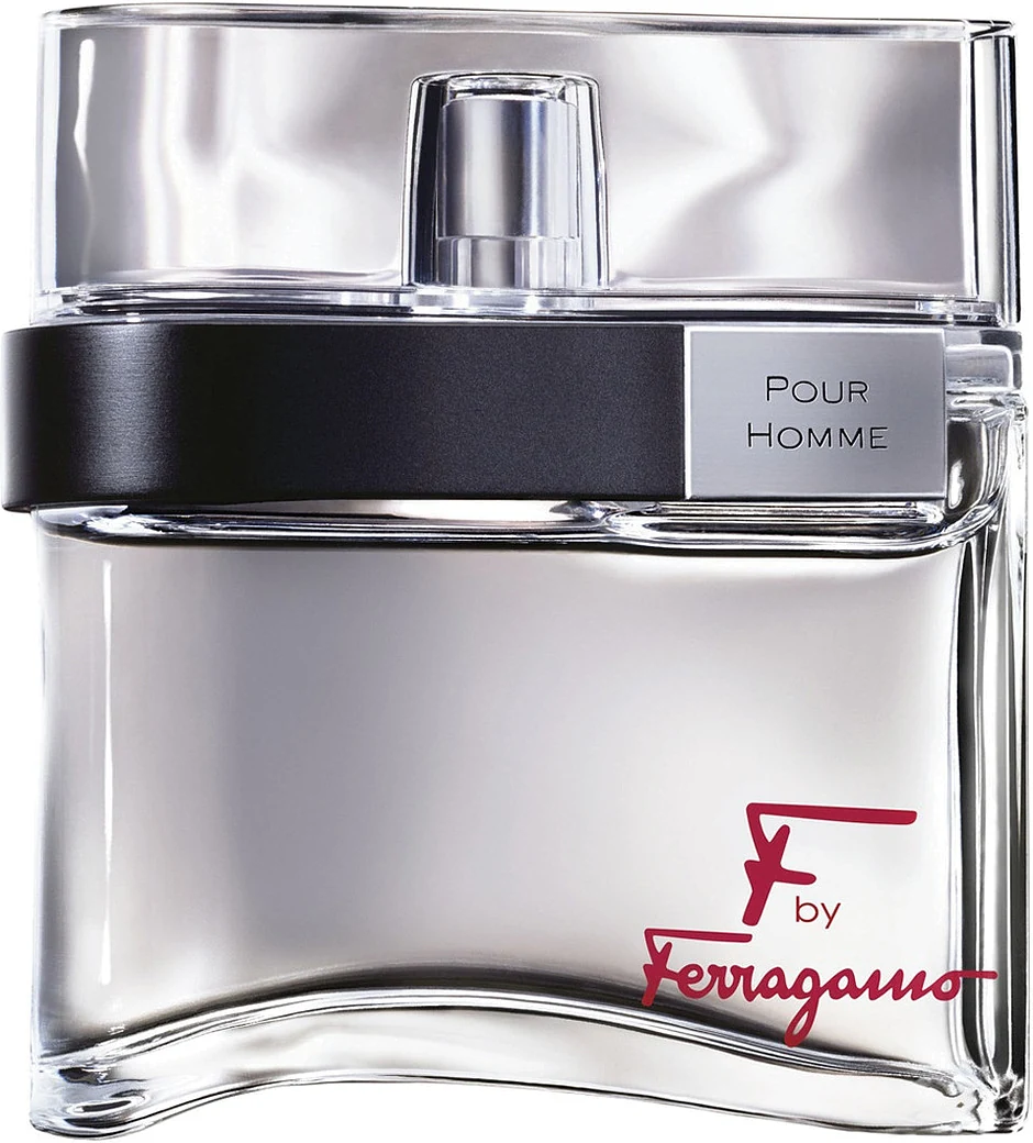 Salvatore Ferragamo F by Ferragamo Pour Homme
