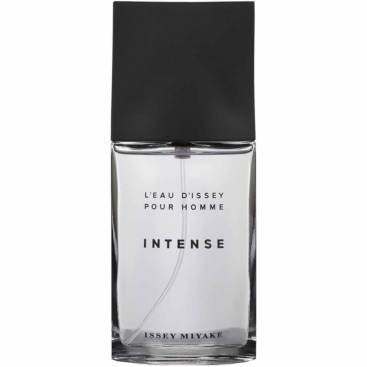 Issey Miyake L'Eau d'Issey Pour Homme Intense