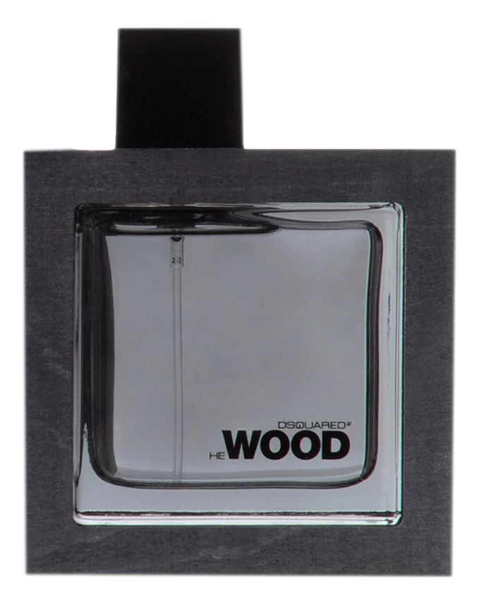 DSQUARED2 He Wood Silver Wind Wood