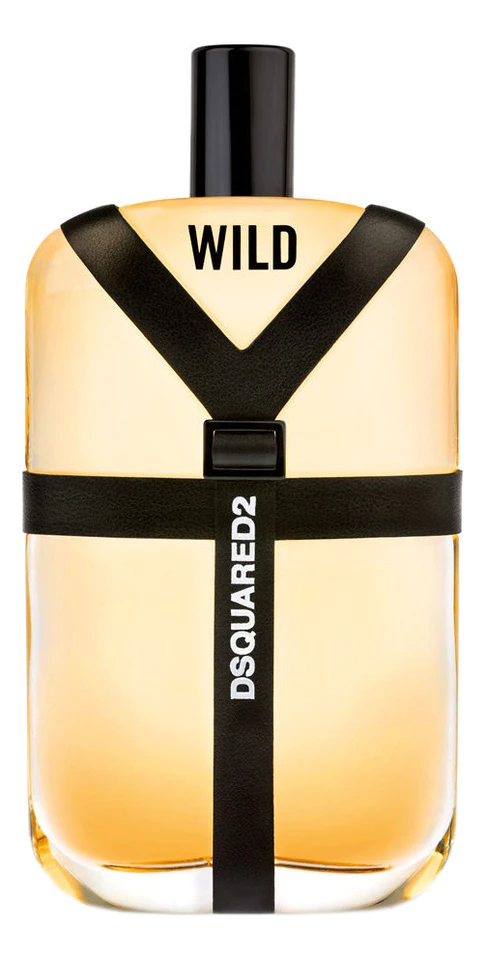 DSQUARED2 Wild