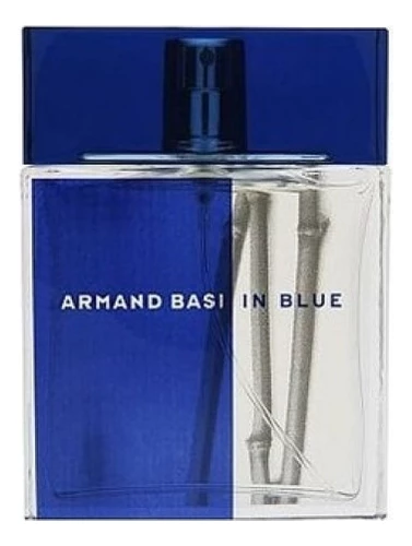 Armand Basi In Blue