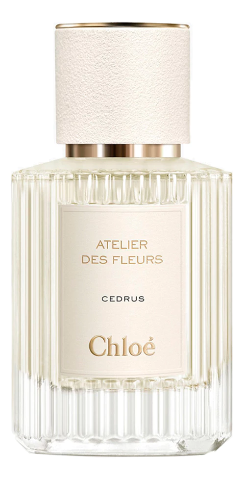 Chloe Atelier Des Fleurs Cedrus