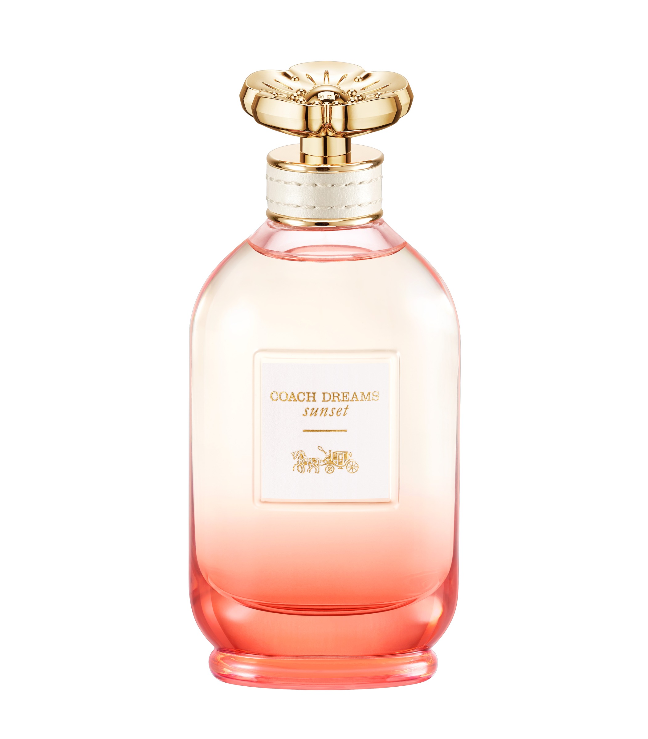 Coach Coach Dreams Sunset