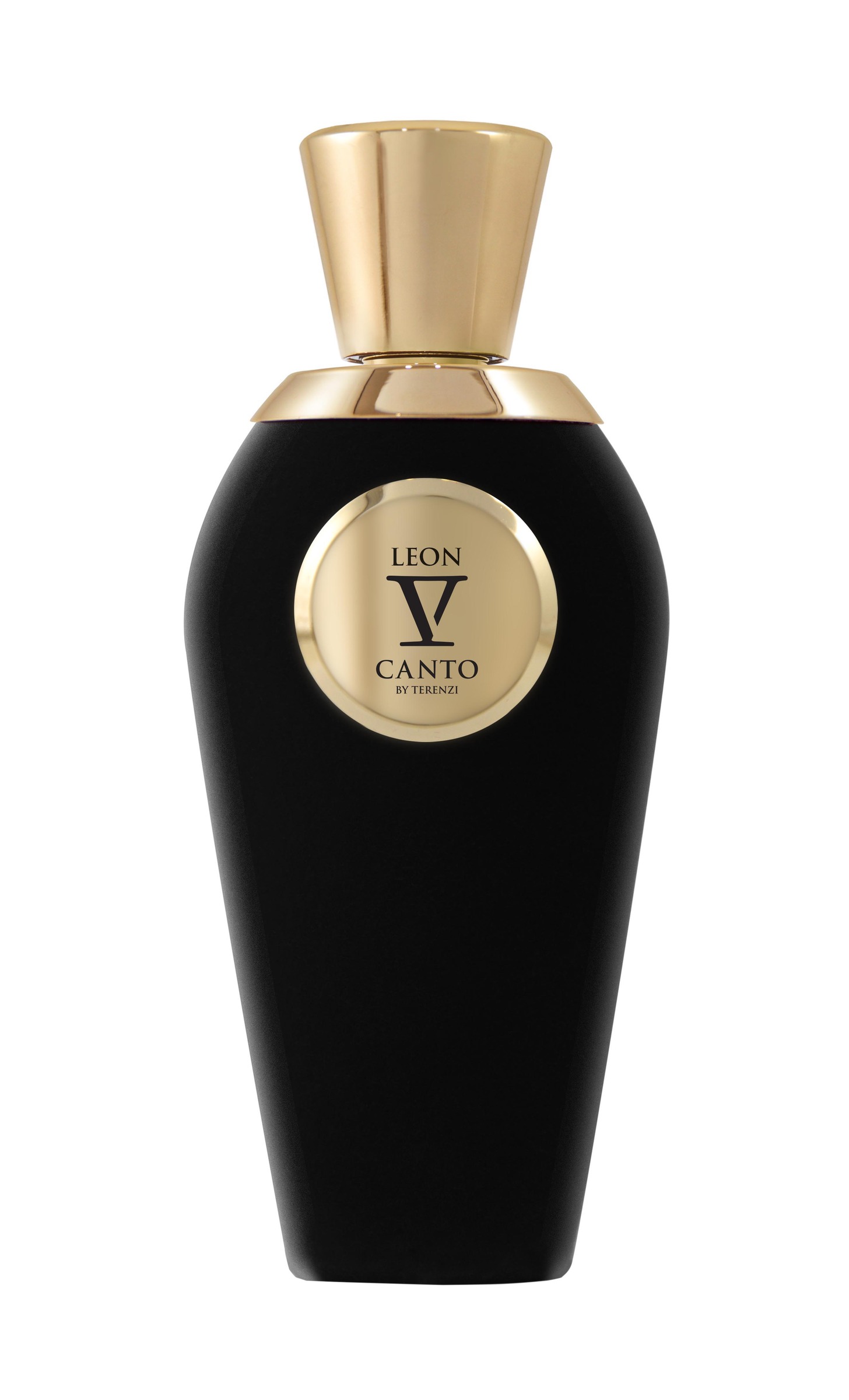 V Canto Leon