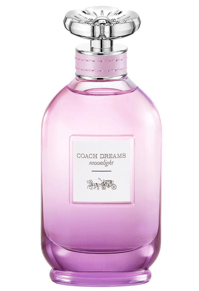 Coach Dreams Moonlight