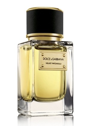Dolce & Gabbana Velvet Patchouli