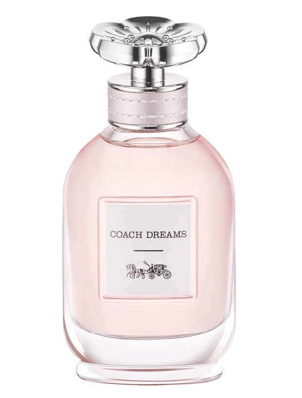 Coach Coach Dreams