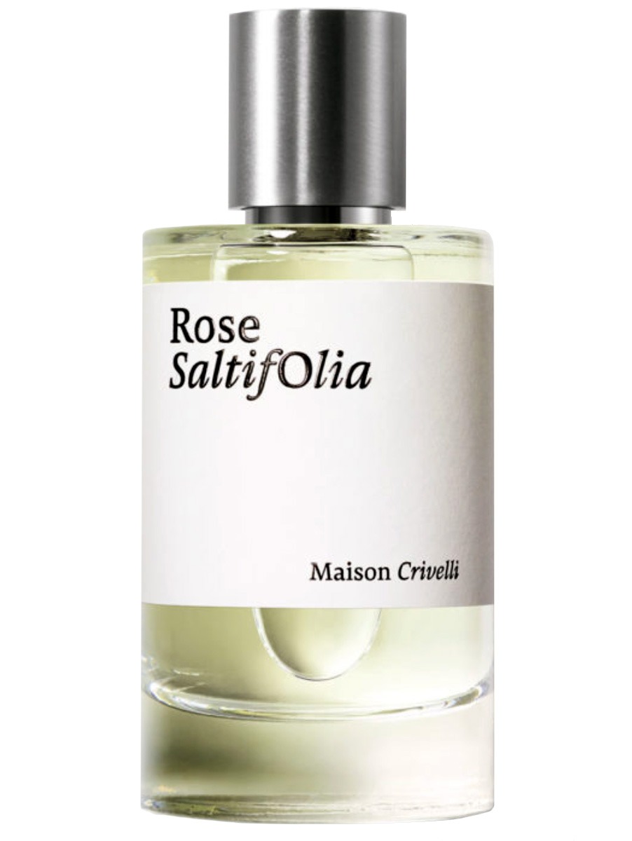 Maison Crivelli Rose SaltifOlia