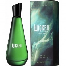Ariana Grande Wicked For Good Elphaba Enchanted