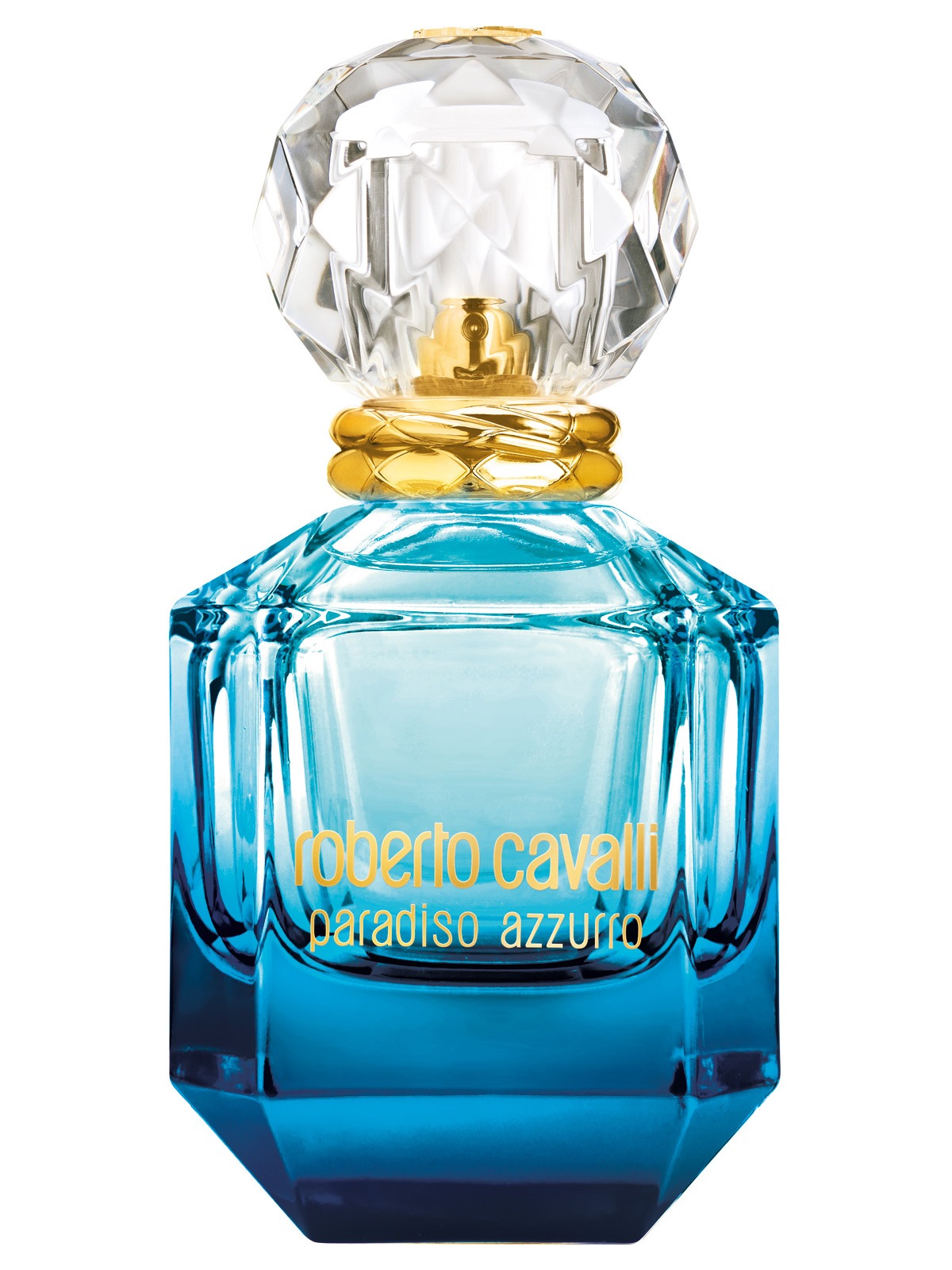 Roberto Cavalli Paradiso Azzurro