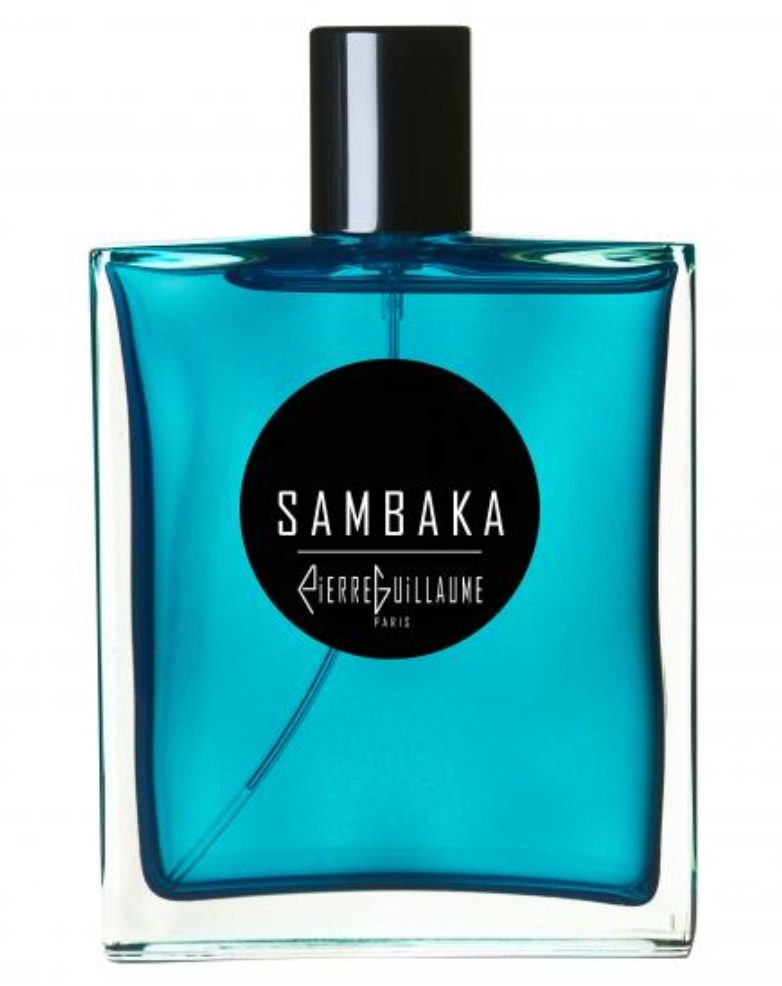 Pierre Guillaume Sambaka