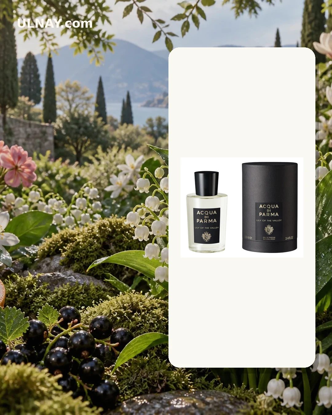 Lily of the Valley — scene and bottle