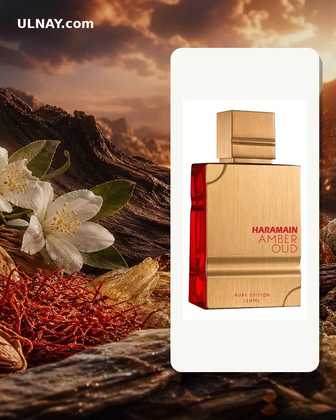 Amber Oud Ruby Edition — setting and bottle