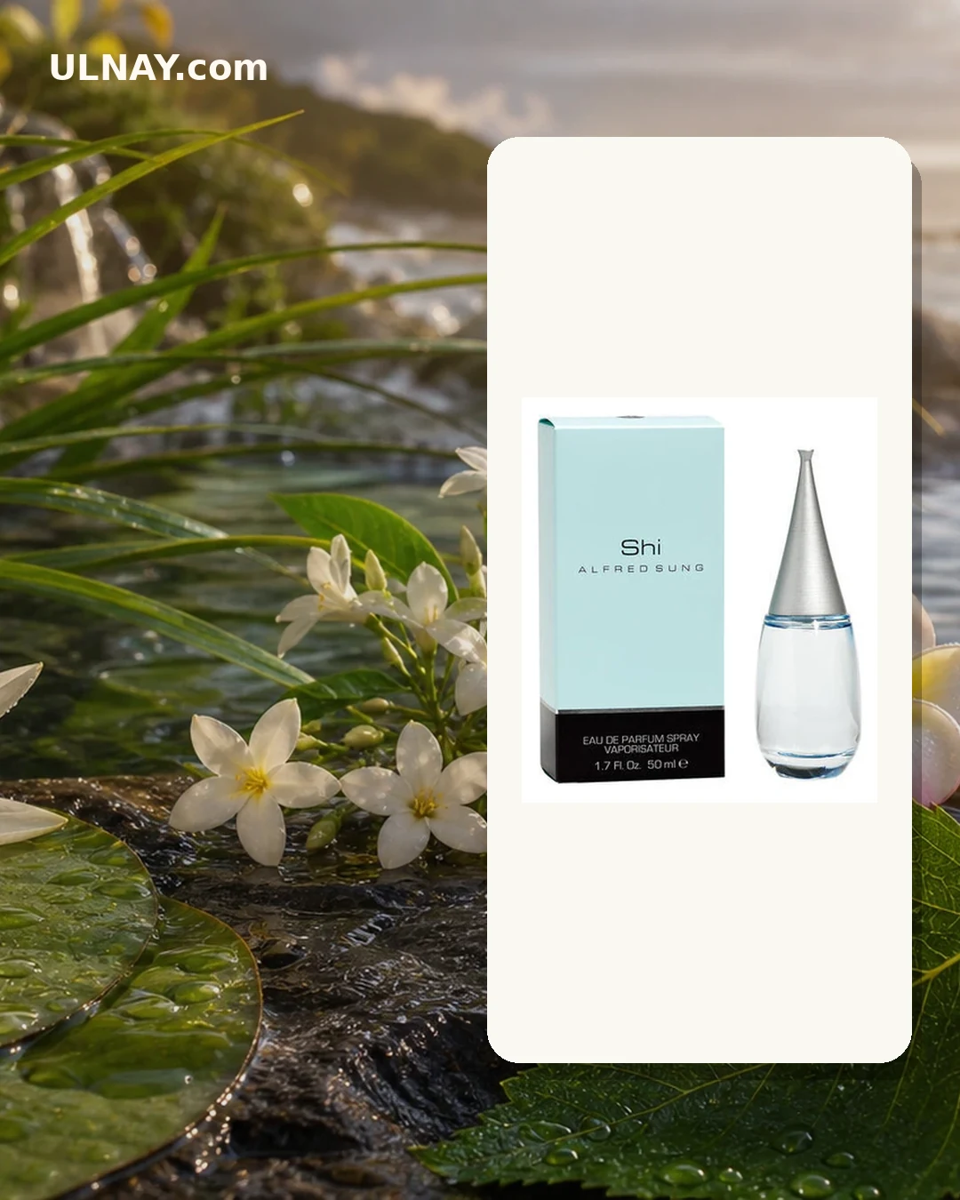 Shi — scene and bottle