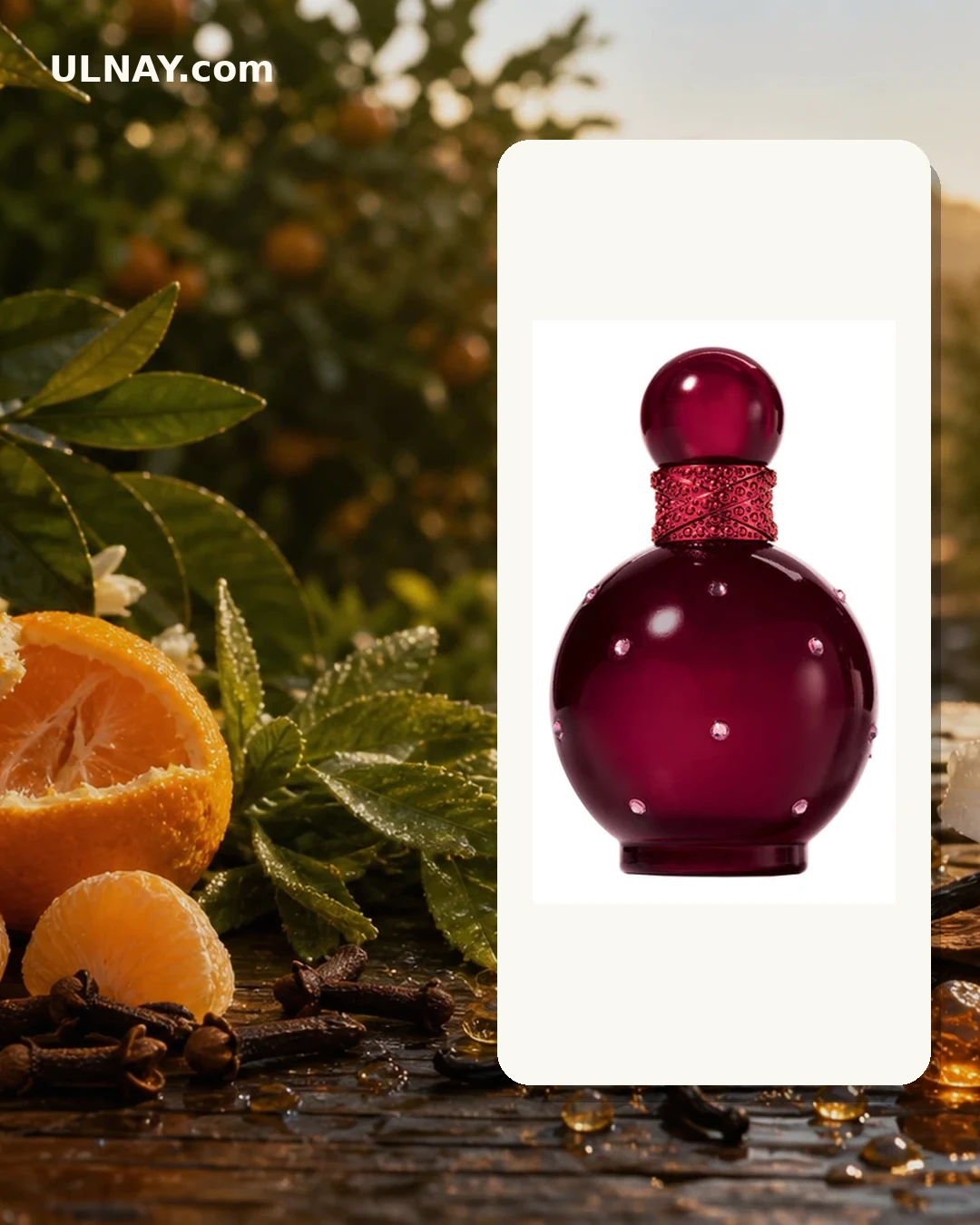 Hidden Fantasy — scene and bottle