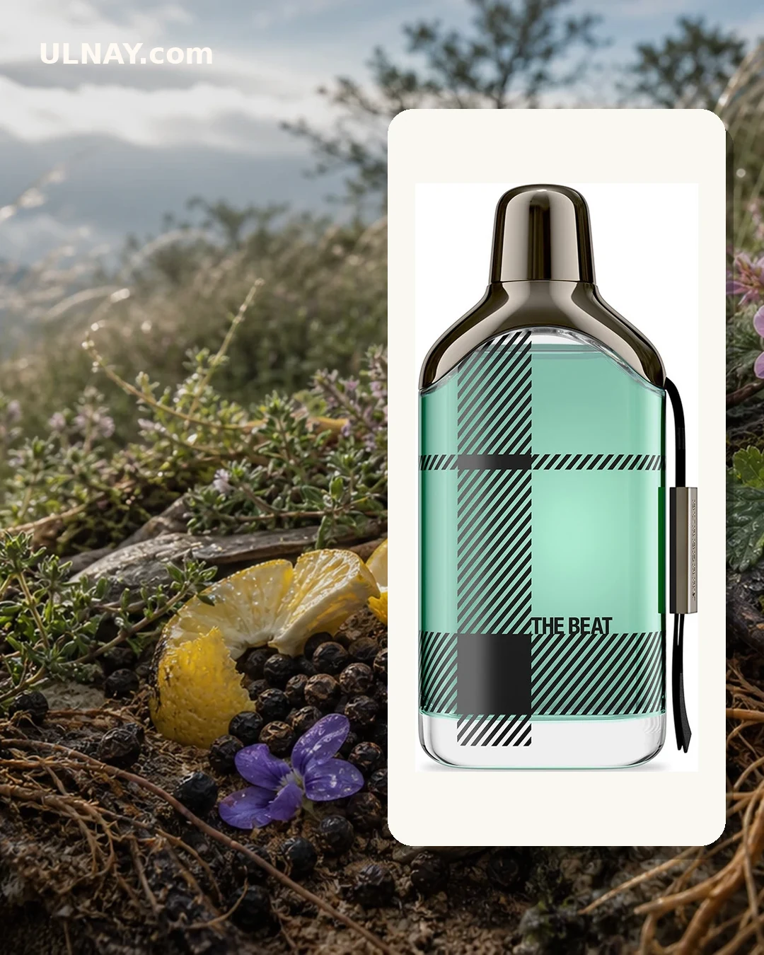 Burberry The Beat for Men — сцена и флакон