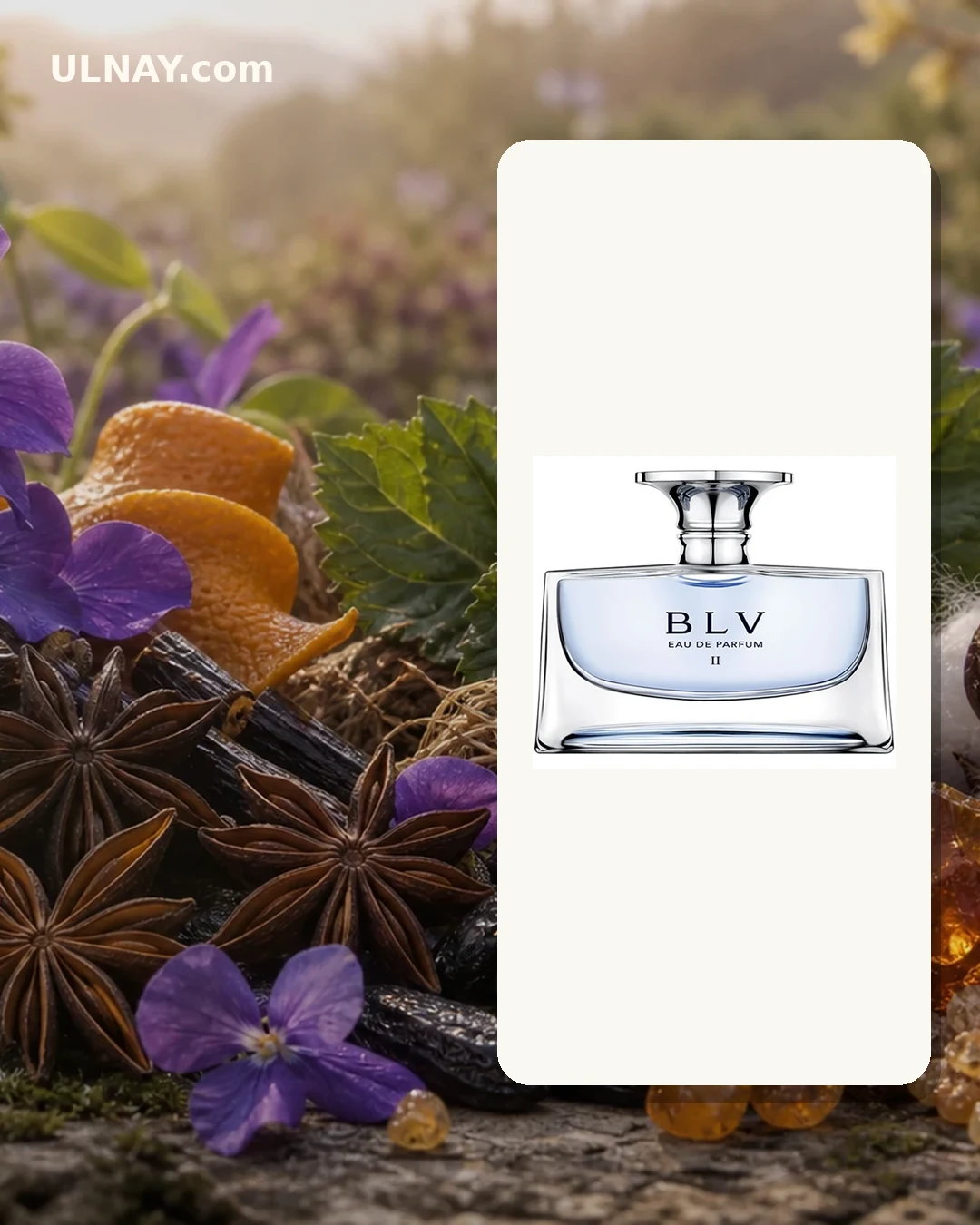 BLV Eau de Parfum II — setting and bottle