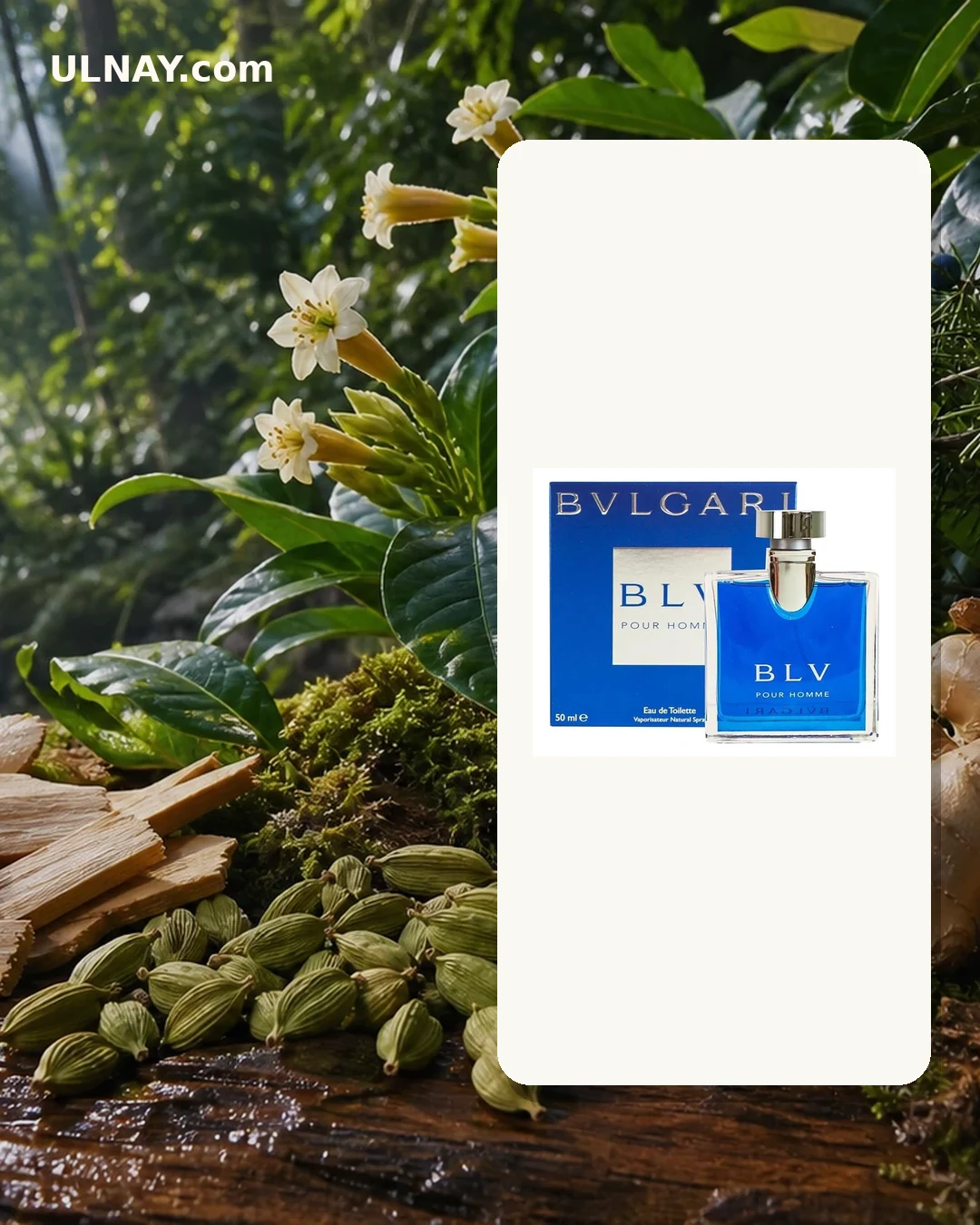 BLV Pour Homme: scene and bottle