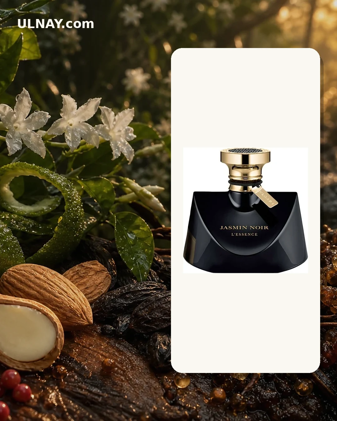 Jasmin Noir L Essence: scene and bottle