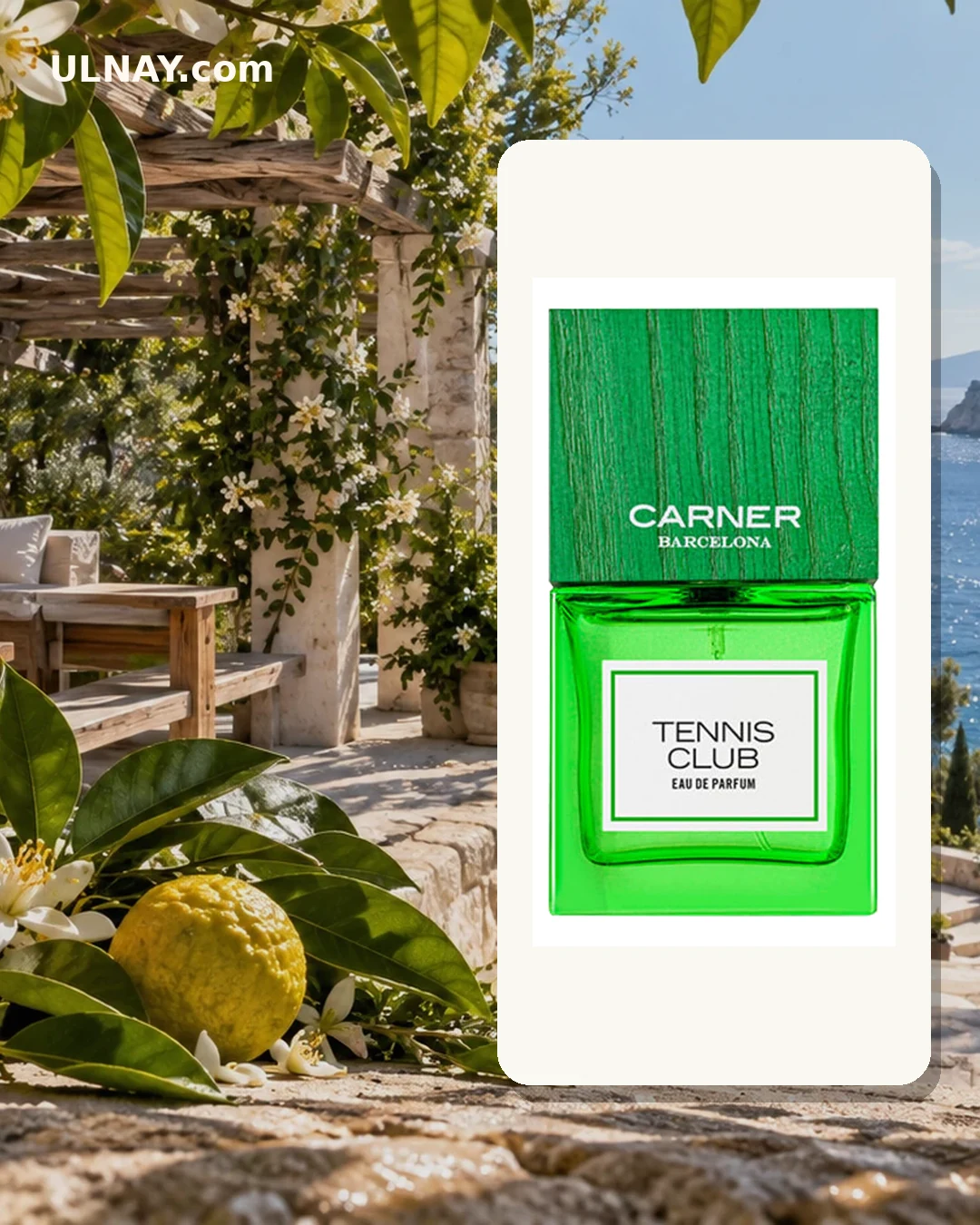 Tennis Club — setting and bottle