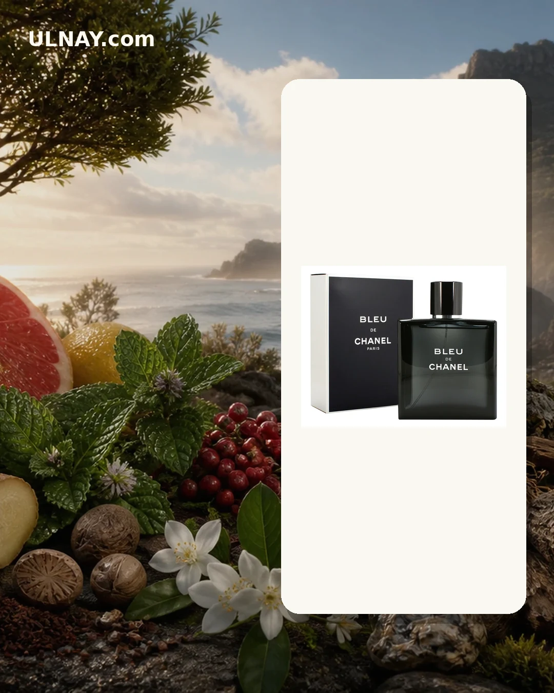 Bleu de Chanel — setting and bottle