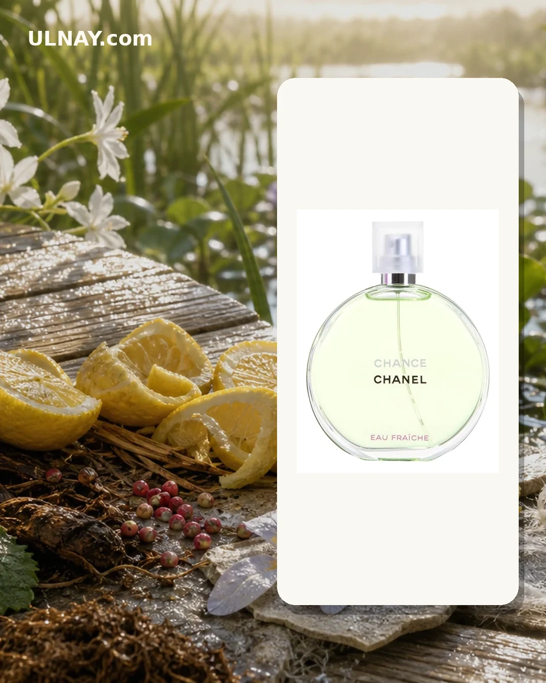 Chanel Chance Eau Fraiche — сцена и флакон
