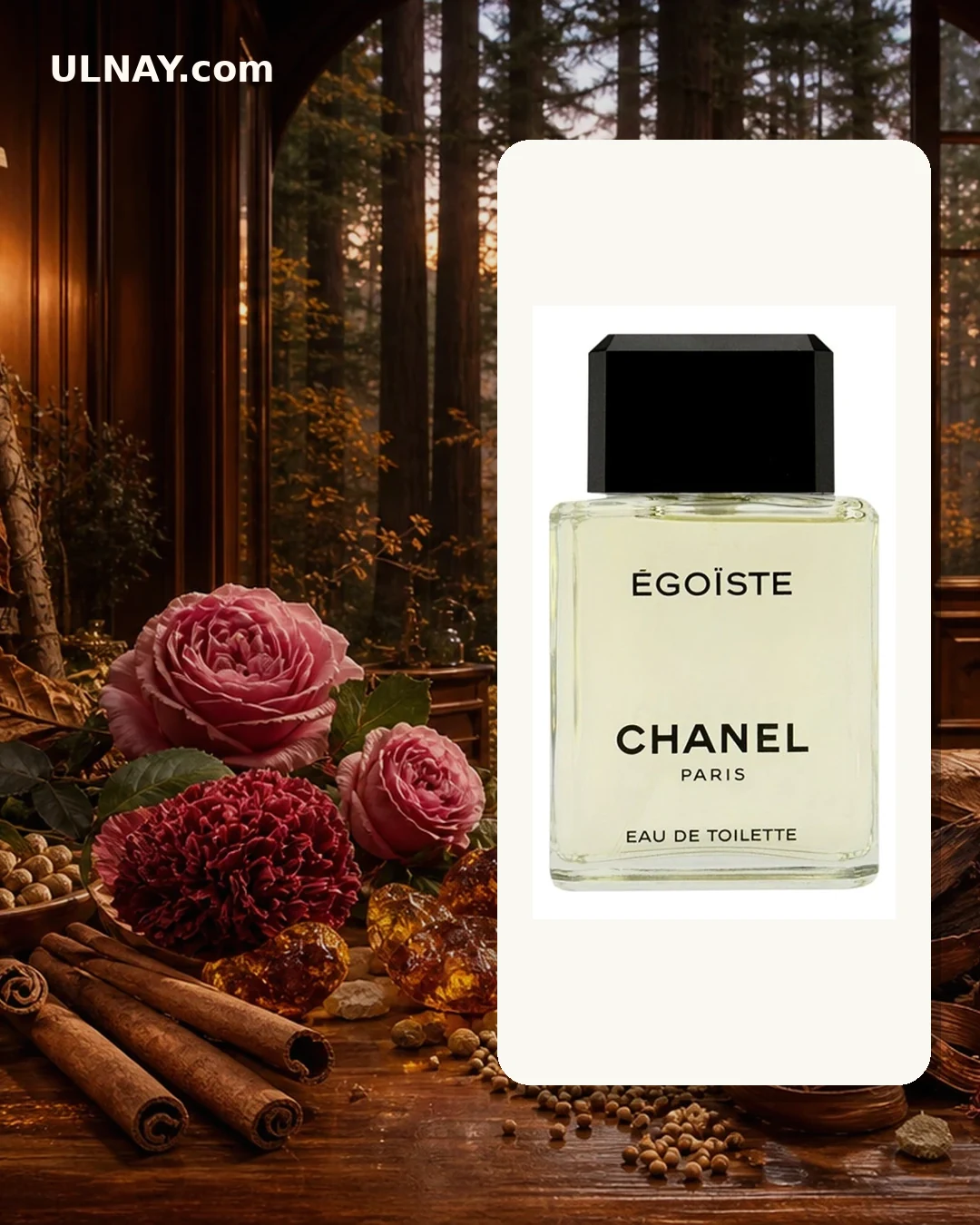 Egoiste — scene and bottle