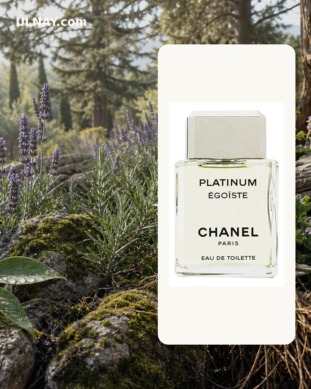 Egoiste Platinum — setting and bottle