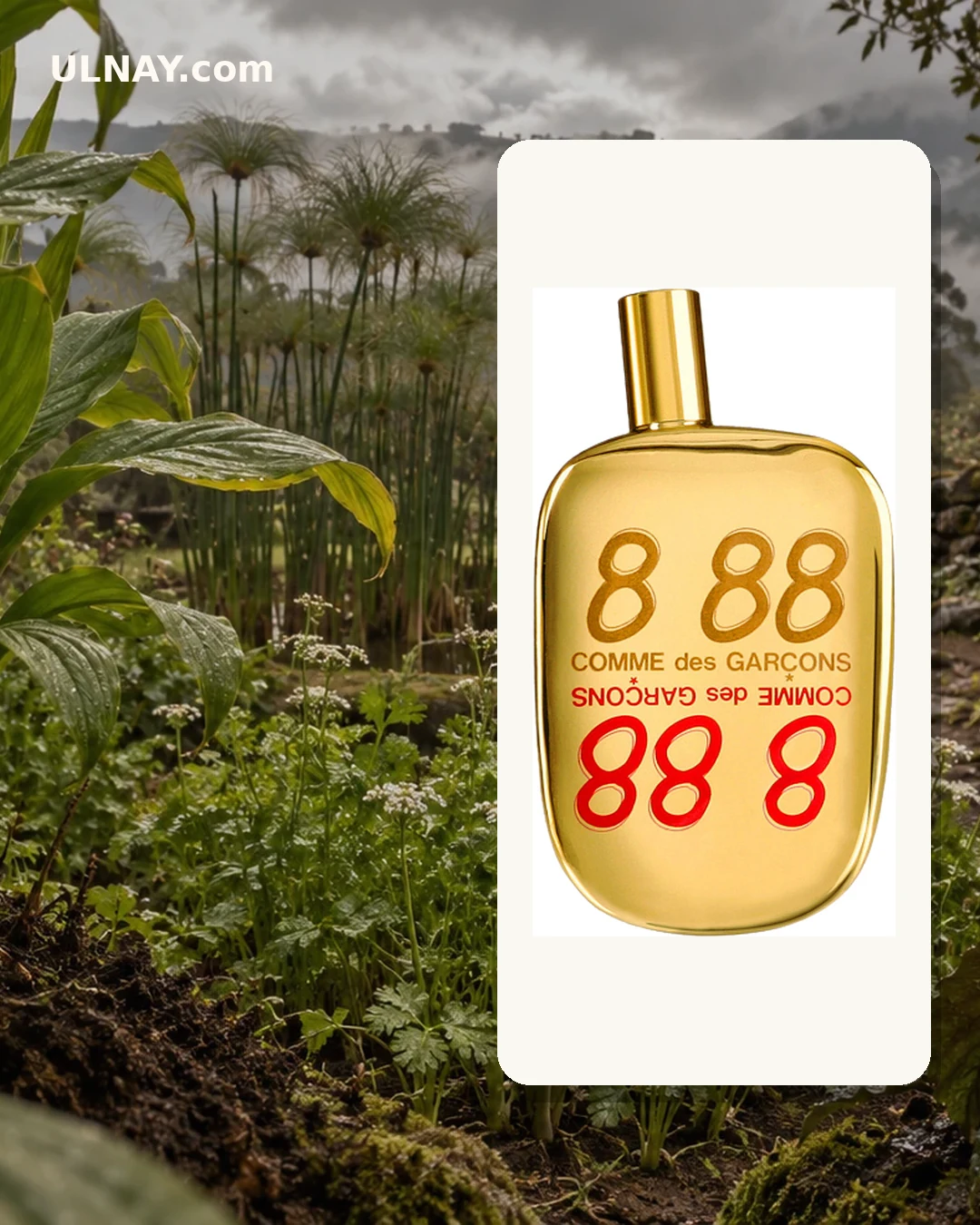 8 88 — setting and bottle
