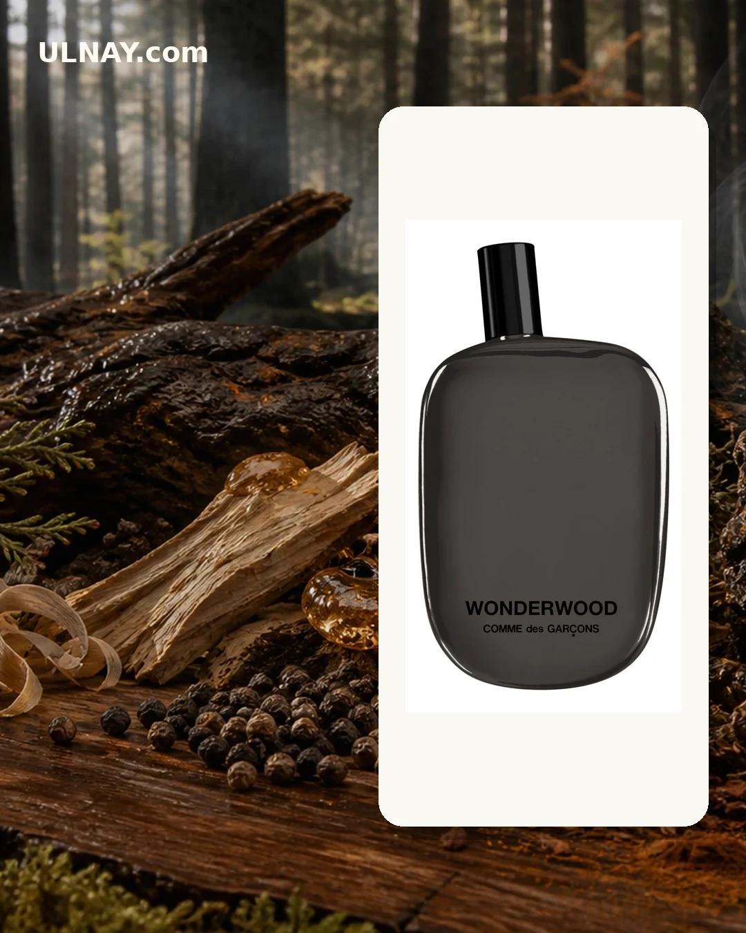 Wonderwood — scene and bottle