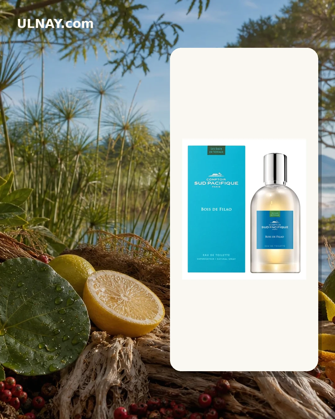 Bois De Filao — scene and bottle