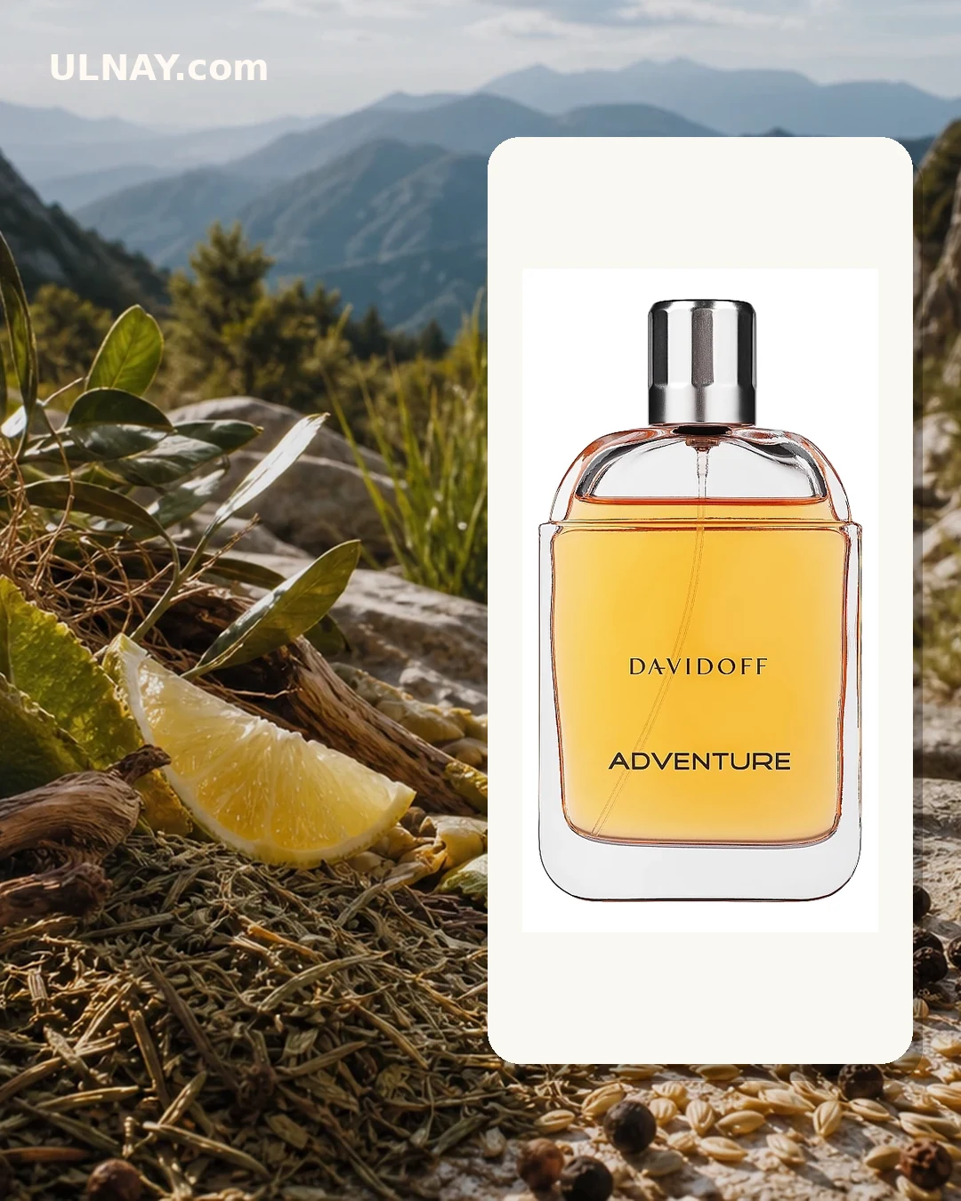Adventure: scene and bottle
