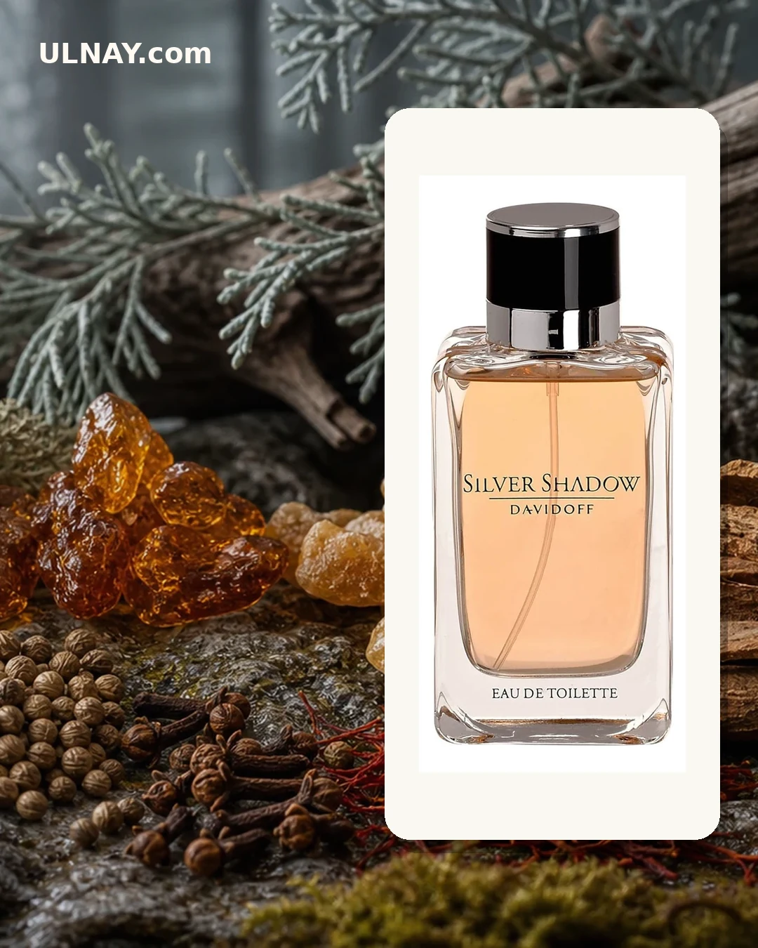 Silver Shadow — scene and bottle