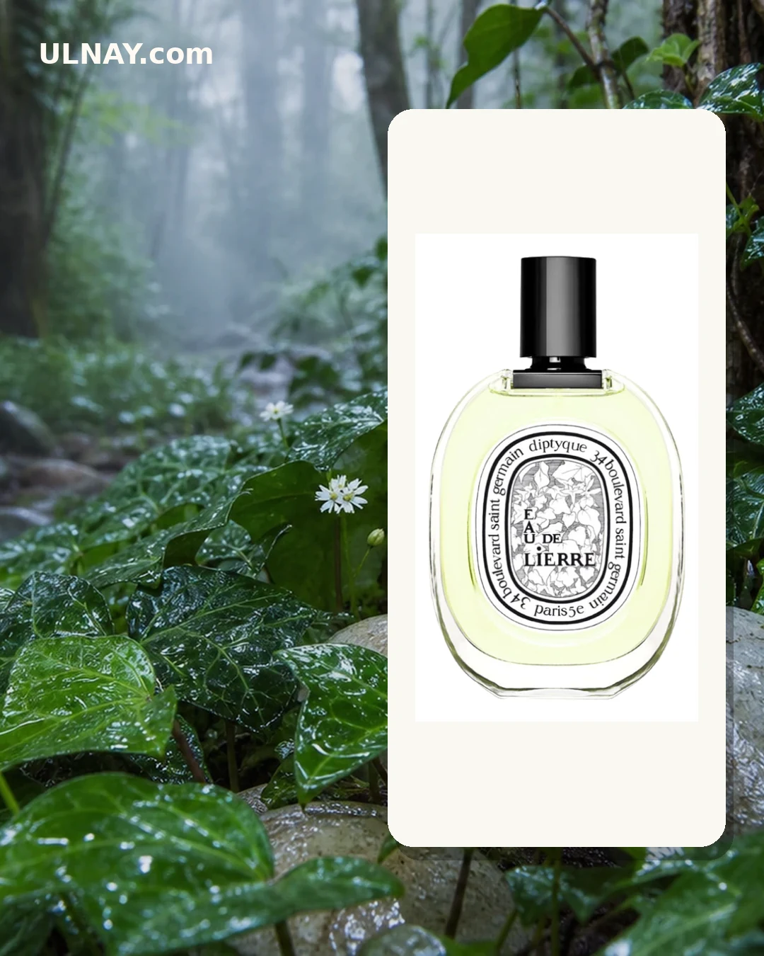 Eau de Lierre — scene and bottle