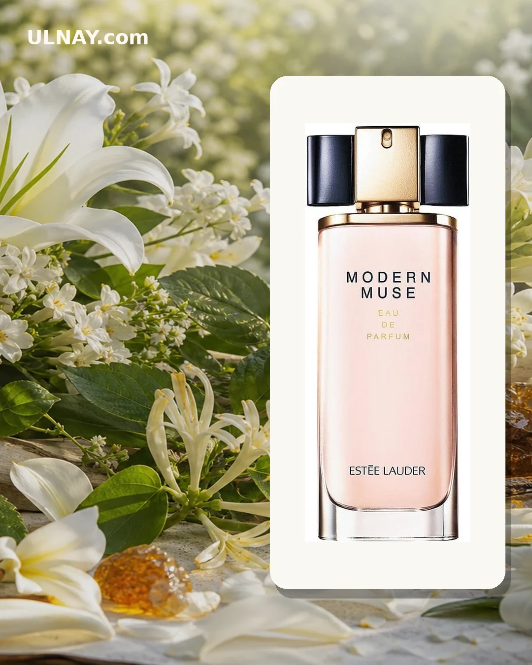 Modern Muse — composition and bottle