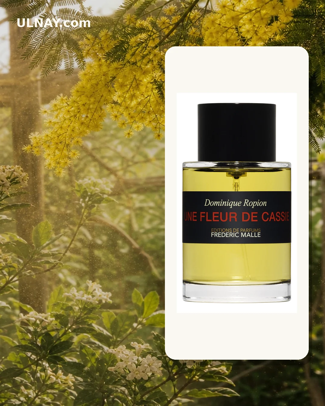 Une Fleur de Cassie — setting and bottle
