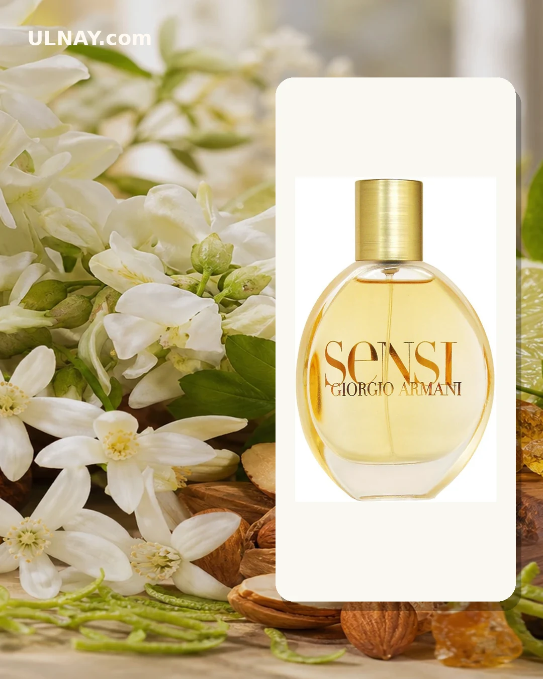 Sensi — scene and bottle