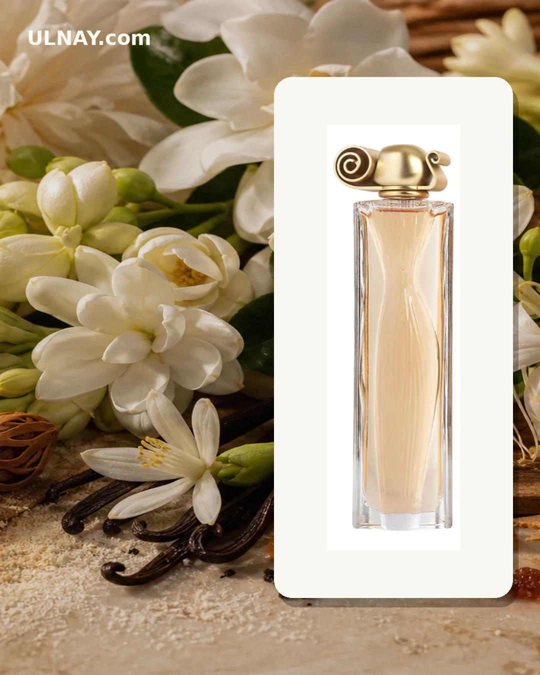 Organza — composition and bottle