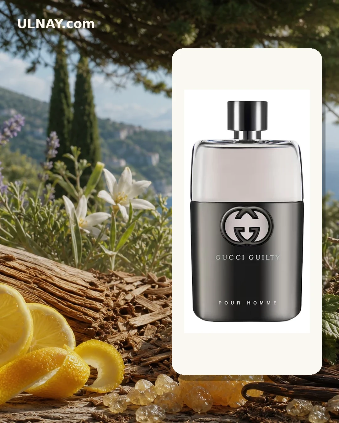 Guilty Pour Homme — setting and bottle