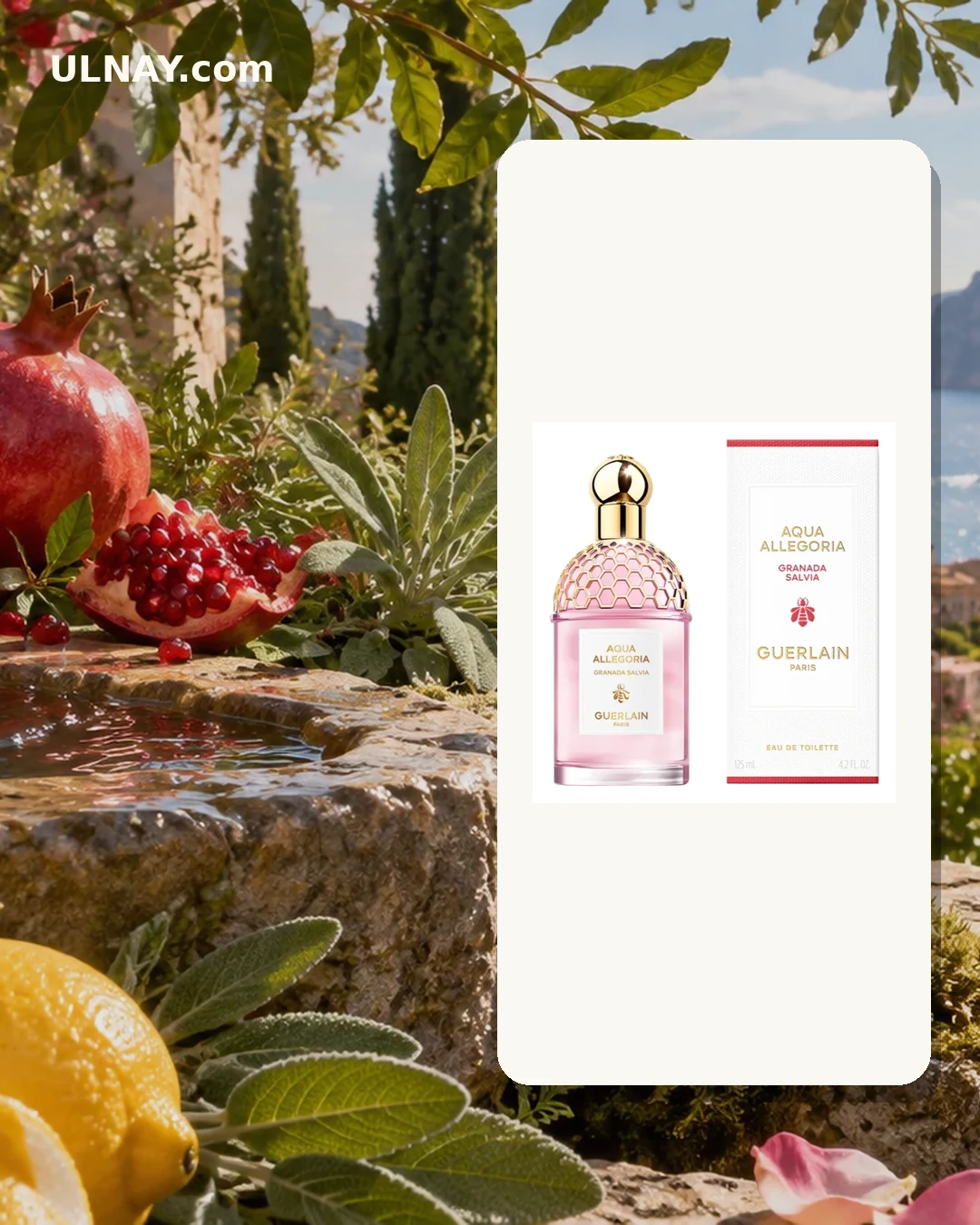 Aqua Allegoria Granada Salvia — setting and bottle