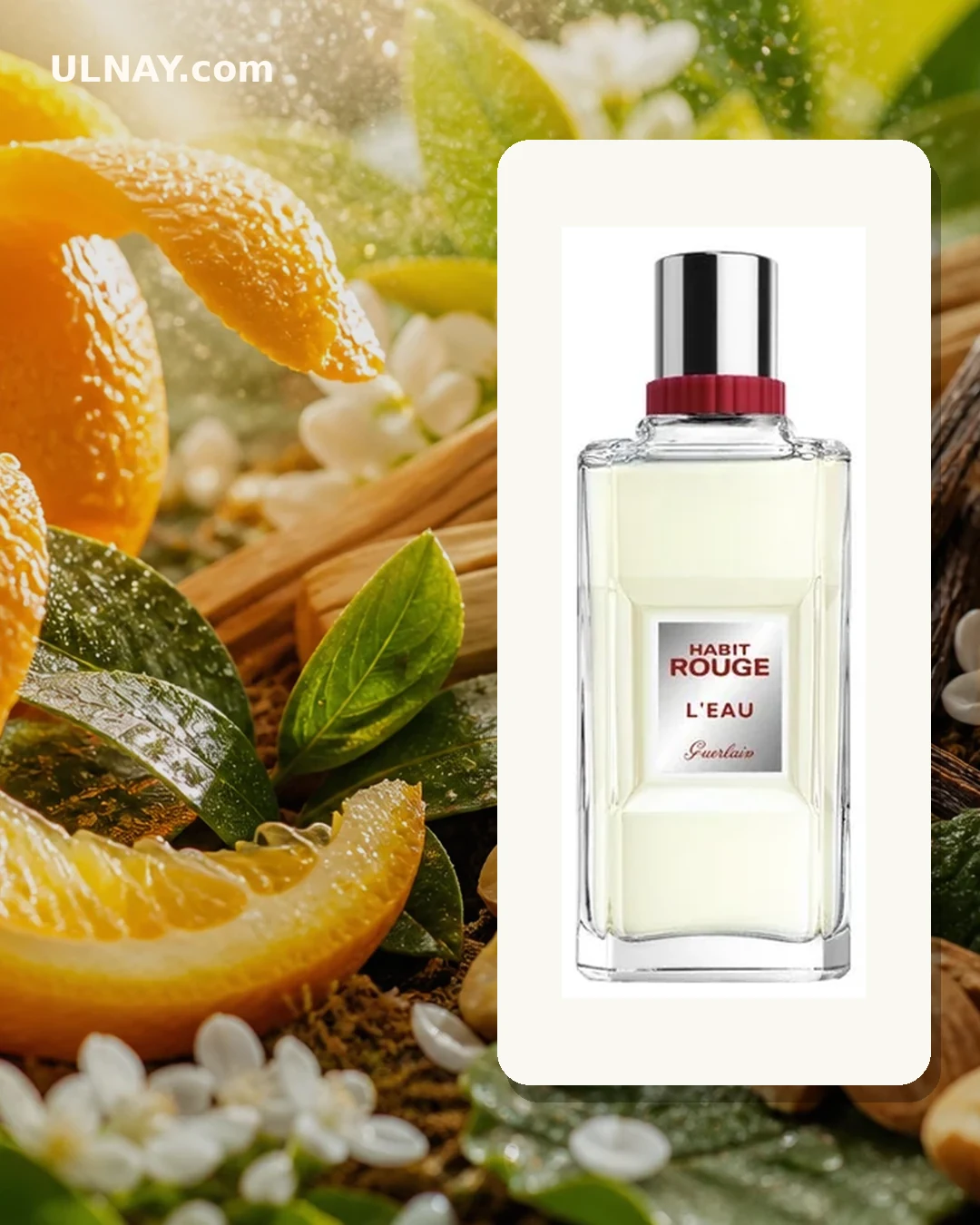 Habit Rouge L Eau — scene and bottle