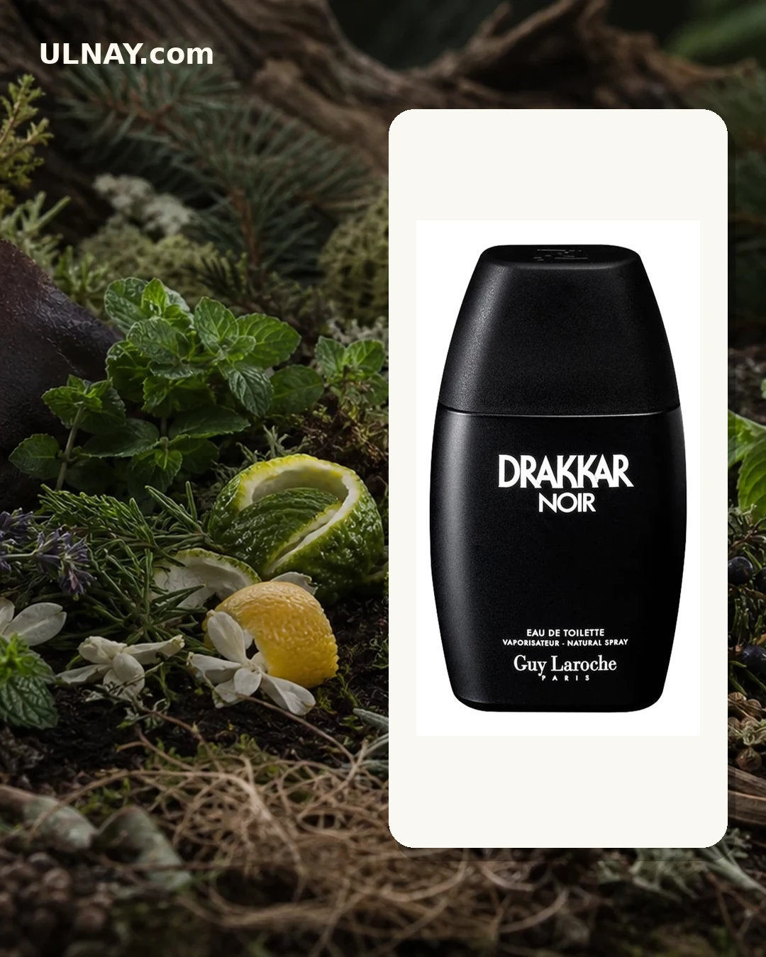 Drakkar Noir — scene and bottle