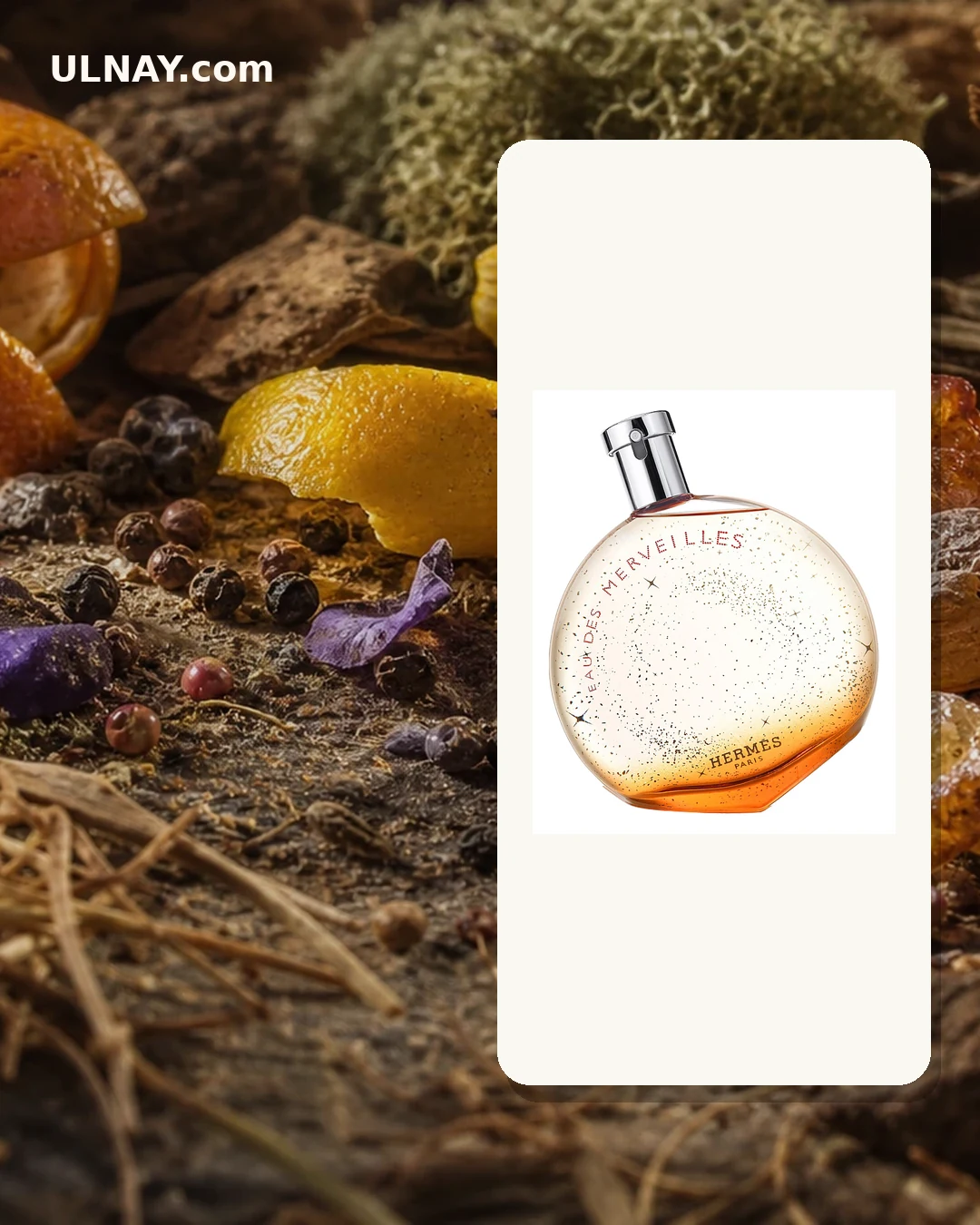 Eau des Merveilles — composition and bottle