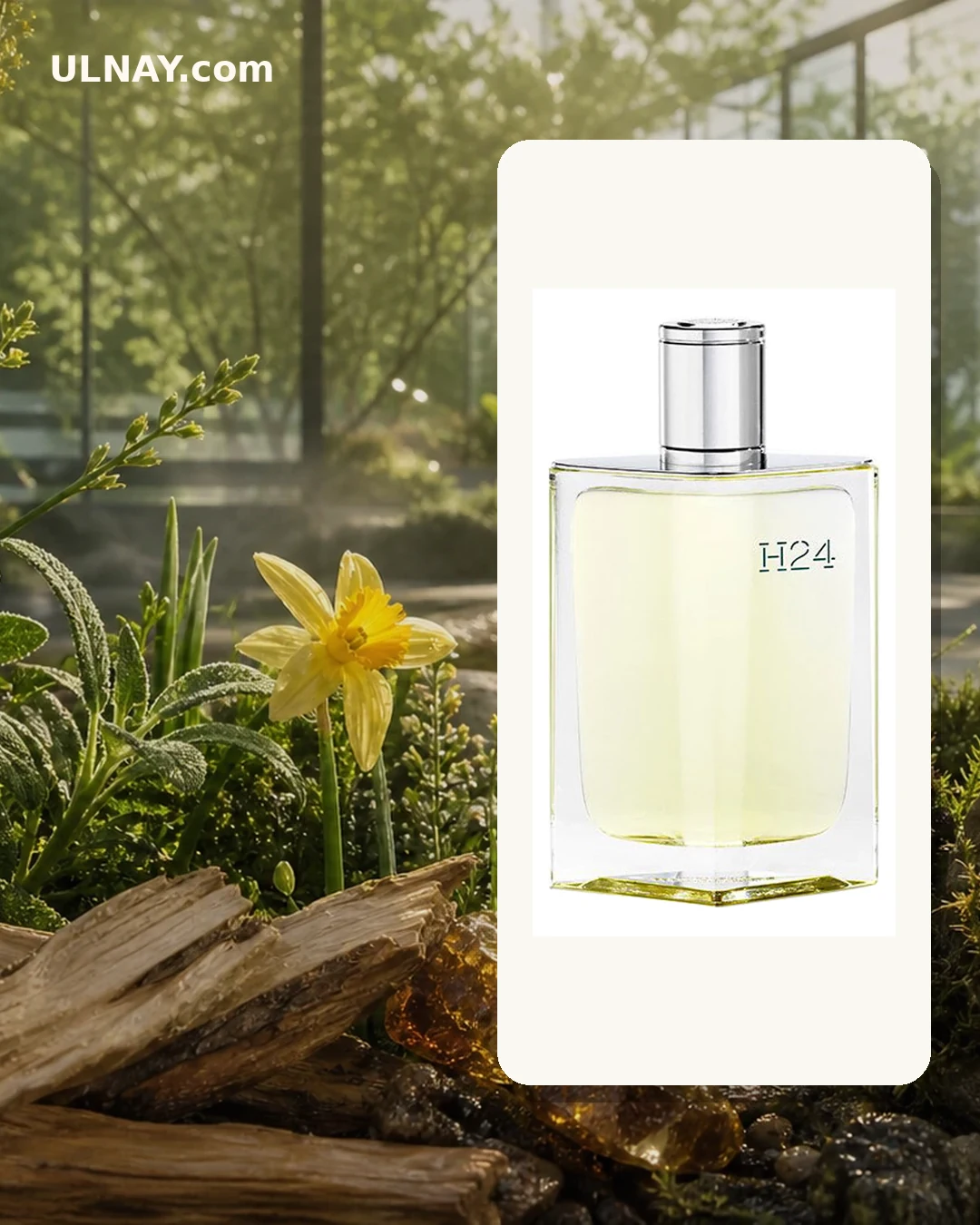 H24 — setting and bottle