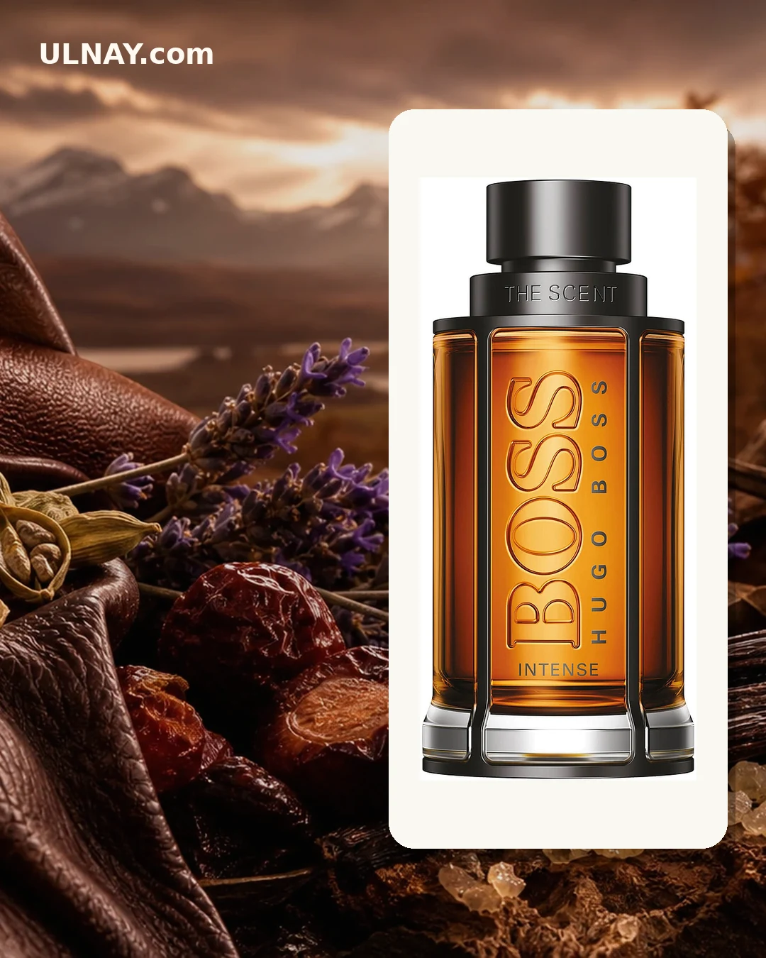 The Scent Intense For Him — setting and bottle