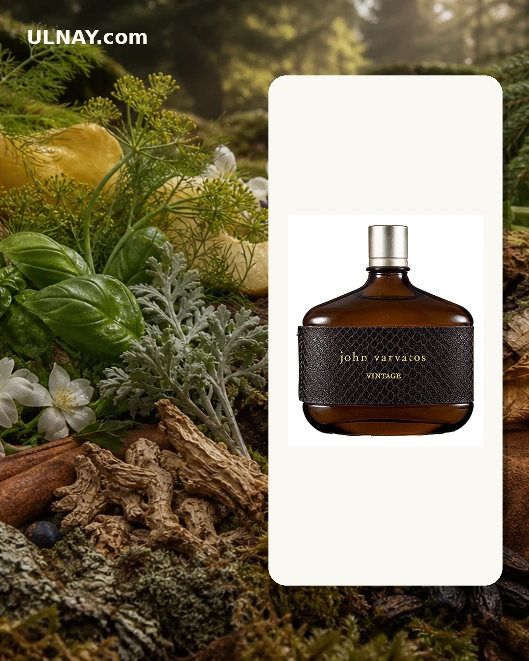John Varvatos Vintage — сцена и флакон