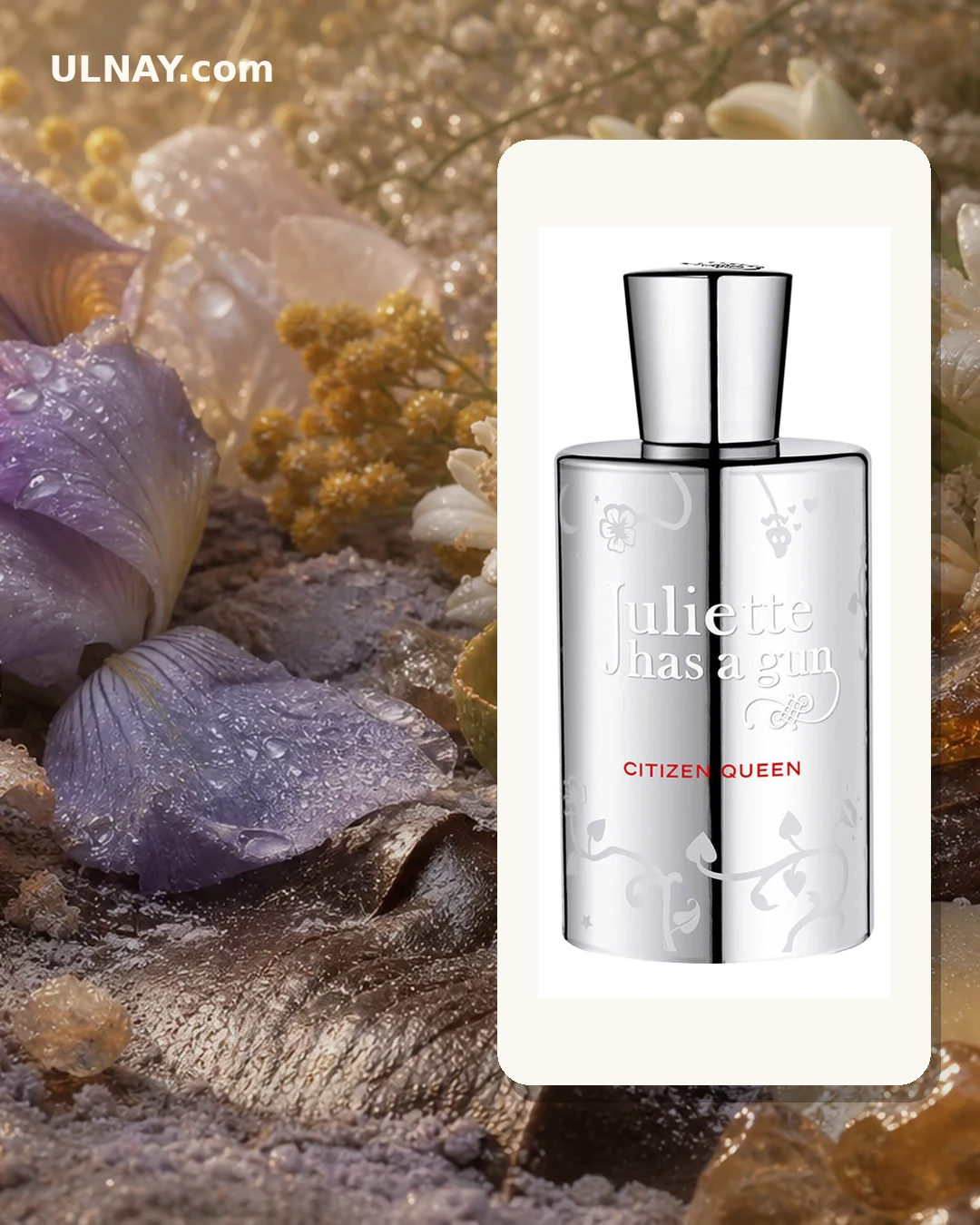 Citizen Queen — setting and bottle